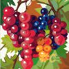 Grapes on The Vine Needlepoint Canvas