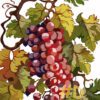 Ripe Grapevines Needlepoint Canvas