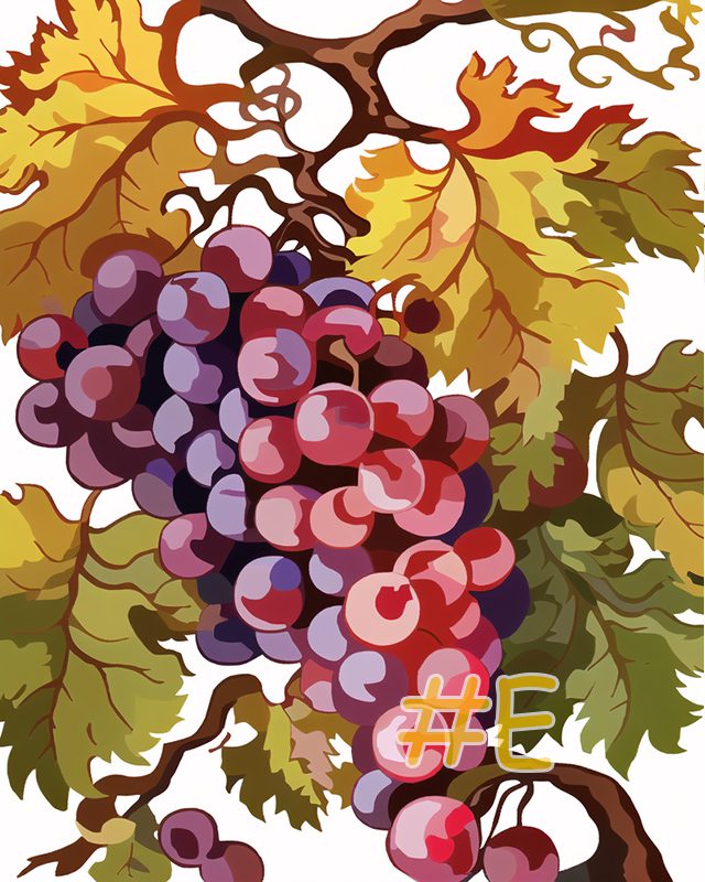 Ripe Grapevines Needlepoint Canvas