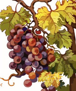 Ripe Grapevines Needlepoint Canvas