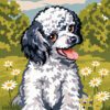 Poodle Needlepoint Canvas Selection