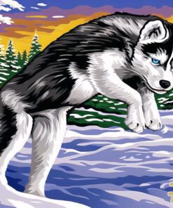 Jumping Husky in Snow Needlepoint Canvas