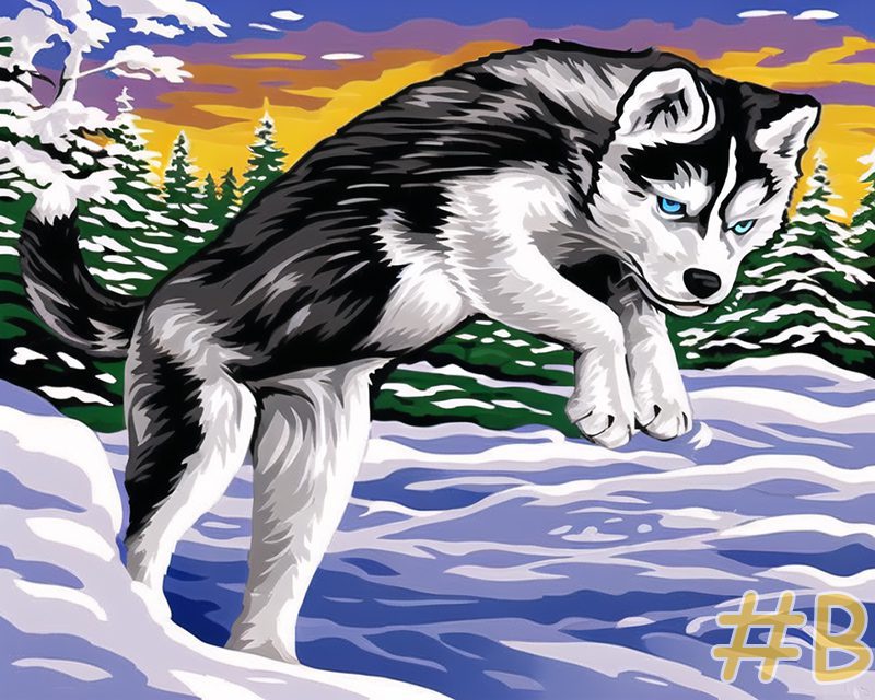 Jumping Husky in Snow Needlepoint Canvas