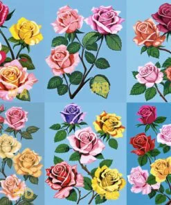 Roses Collection Needlepoint Canvas