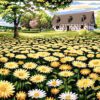 Dandelion Field and Cottage Needlepoint Canvas