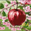 Apple Blossoms & Fruits Needlepoint Canvas