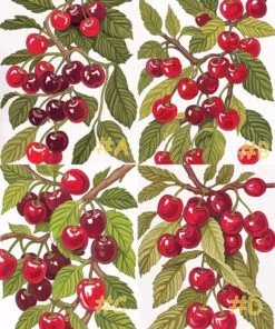 Cherry Orchard Hand Painted Needlepoint Canvas