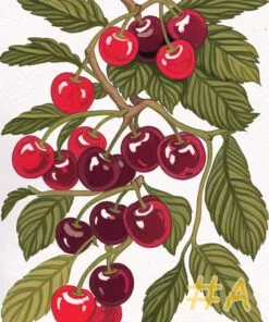 Cherry Orchard Hand Painted Needlepoint Canvas