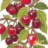 Cherry Orchard Hand Painted Needlepoint Canvas