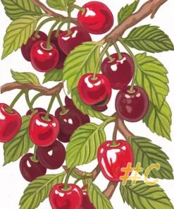 Cherry Orchard Hand Painted Needlepoint Canvas