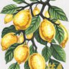 Lemon Tree Needlepoint Canvas