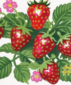 Strawberry Delight Needlepoint Canvas