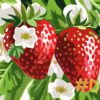 Strawberry Delight Needlepoint Canvas