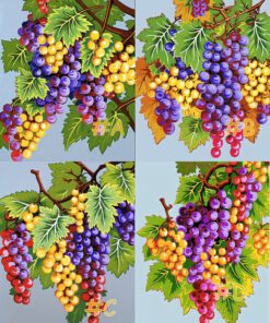 Multi-Colored Grapes Needlepoint Canvas