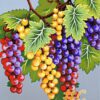 Multi-Colored Grapes Needlepoint Canvas