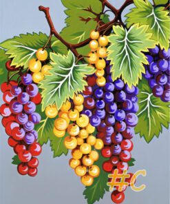 Multi-Colored Grapes Needlepoint Canvas