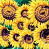 Heasame Sunflower Burst Needlepoint Canvas