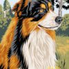 Australian Shepherd in Nature Counted Cross Canvas