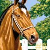 Majestic Horse Heads Needlepoint Canvas Set