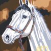 Classic Horse Portraits Needlepoint Canvas Set