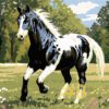 Black and White Horse Needlepoint Canvas